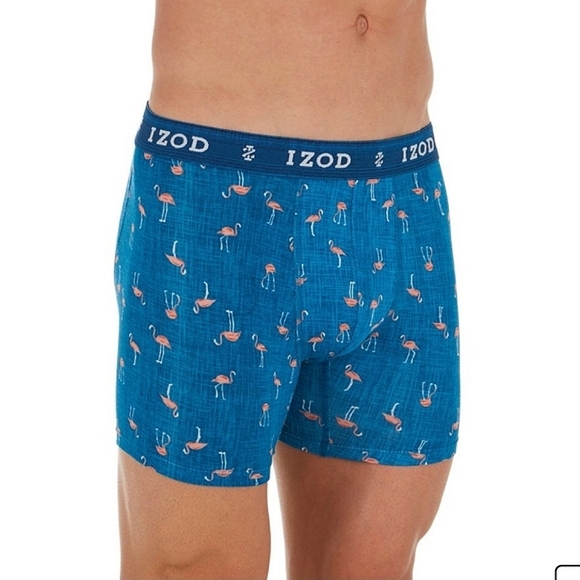 Flamingo Boxer Brief - Picture 1 of 7